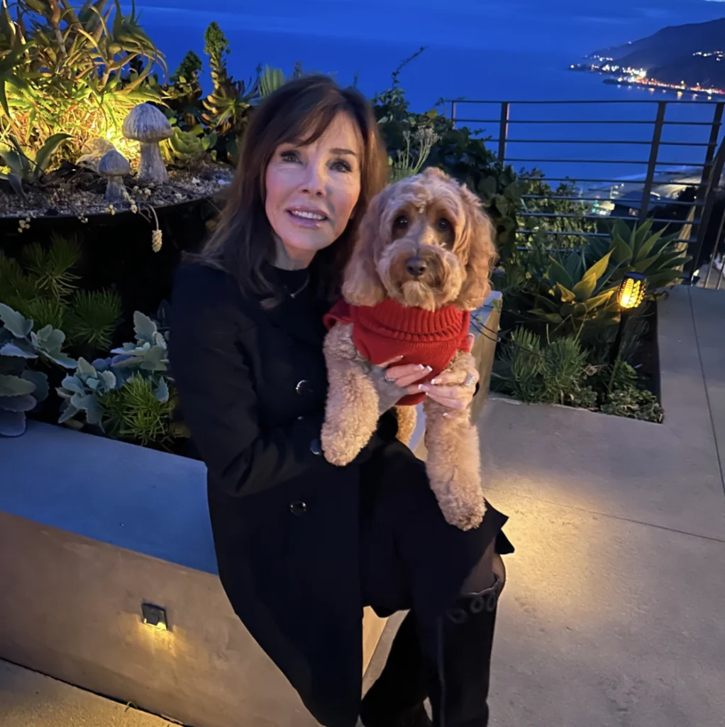 This Year at a Glance: Luxury Spaces, Iconic Places