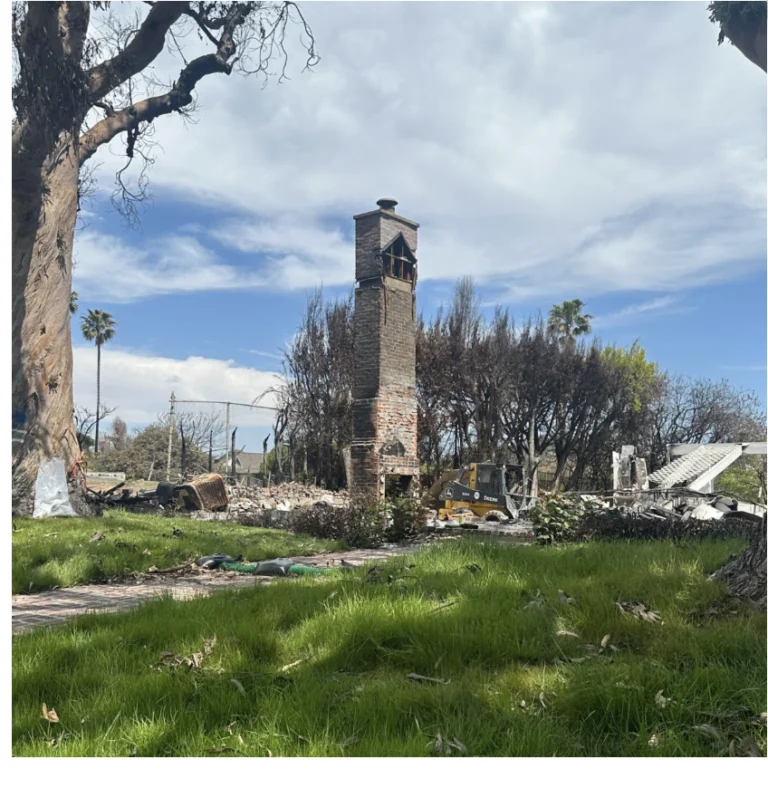 After the Flames: Pacific Palisades Rebuilding, Resilience & Recovery